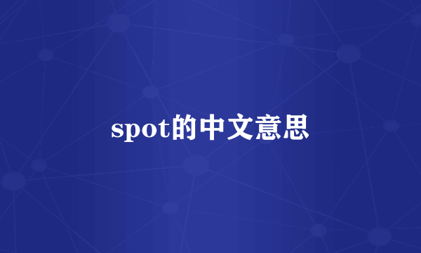 spot的中文意思