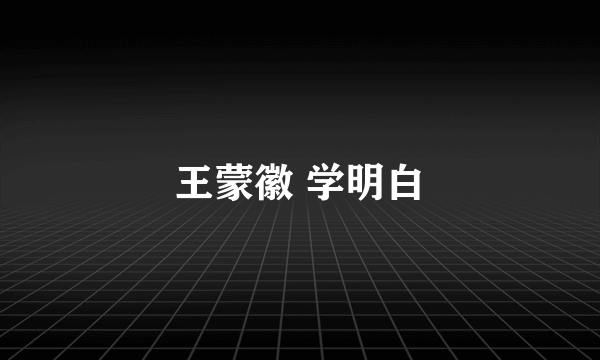 王蒙徽 学明白