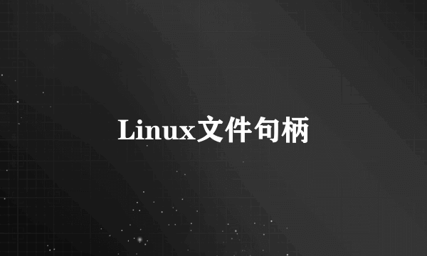 Linux文件句柄