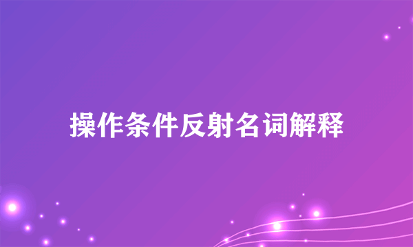 操作条件反射名词解释