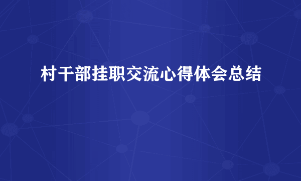 村干部挂职交流心得体会总结