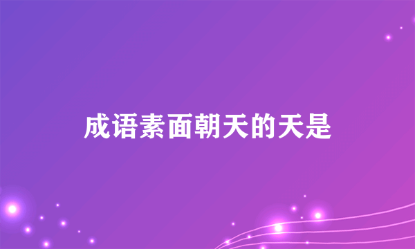 成语素面朝天的天是