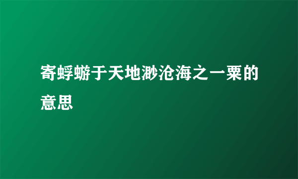 寄蜉蝣于天地渺沧海之一粟的意思
