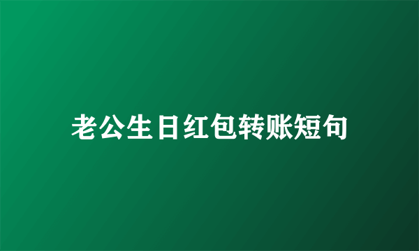 老公生日红包转账短句