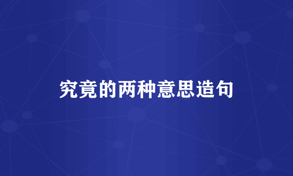 究竟的两种意思造句