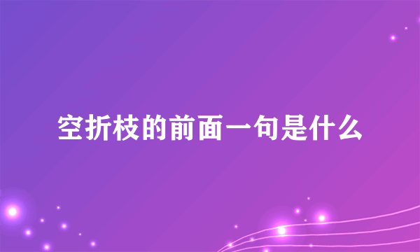 空折枝的前面一句是什么