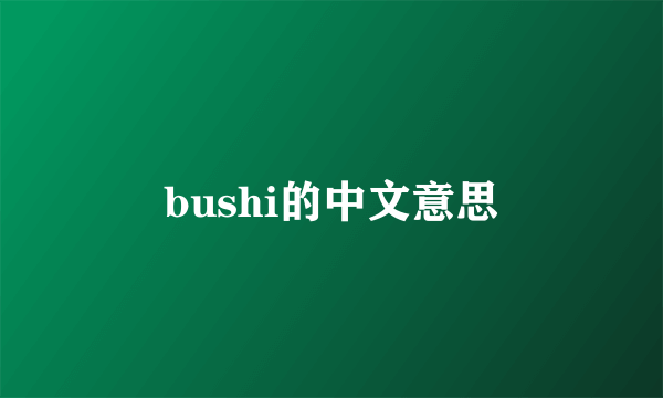 bushi的中文意思