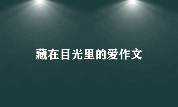 藏在目光里的爱作文