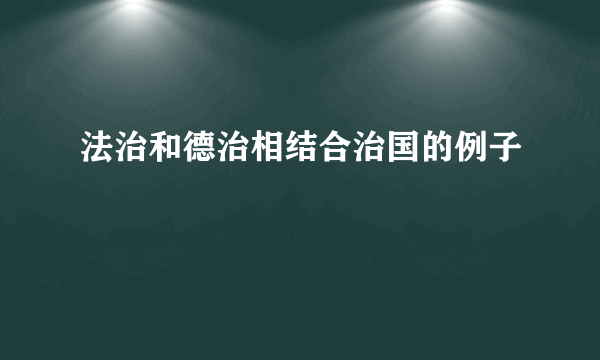 法治和德治相结合治国的例子