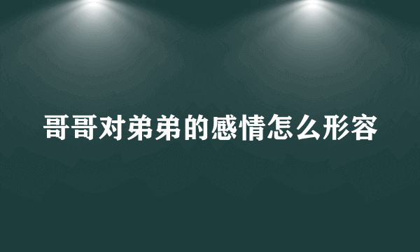 哥哥对弟弟的感情怎么形容