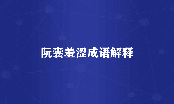 阮囊羞涩成语解释
