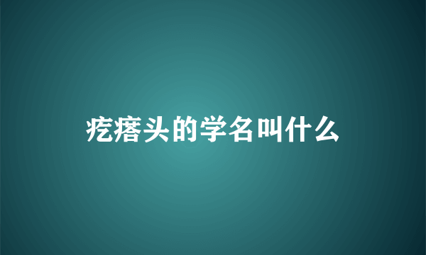 疙瘩头的学名叫什么