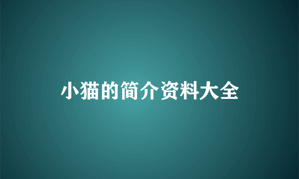 小猫的简介资料大全