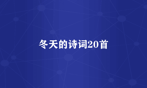 冬天的诗词20首