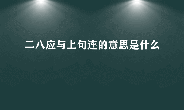 二八应与上句连的意思是什么