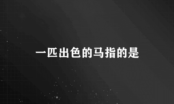 一匹出色的马指的是