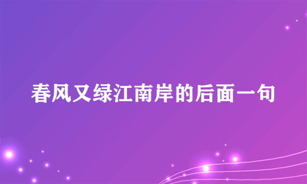 春风又绿江南岸的后面一句