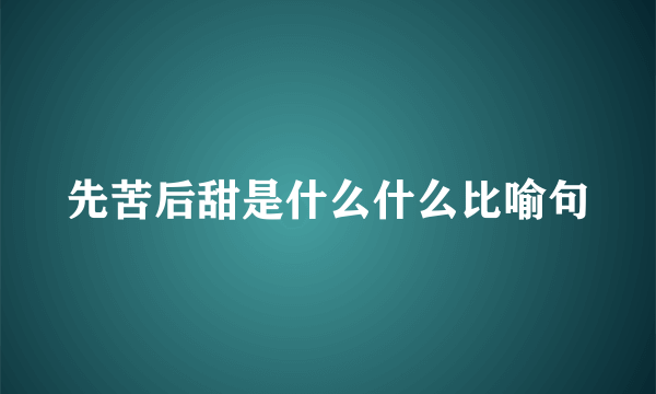 先苦后甜是什么什么比喻句
