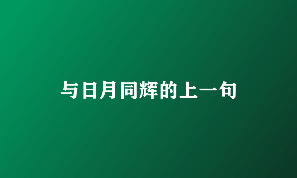 与日月同辉的上一句