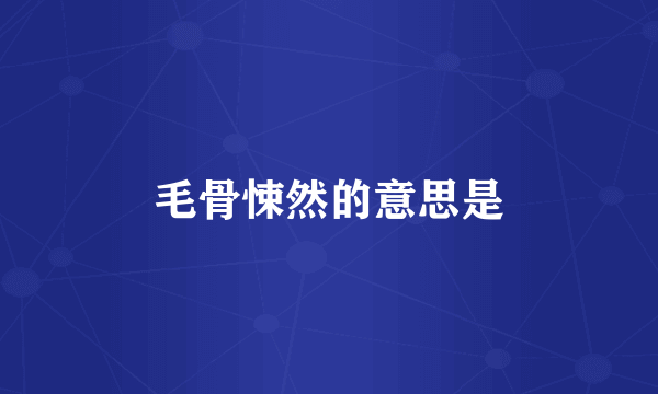 毛骨悚然的意思是