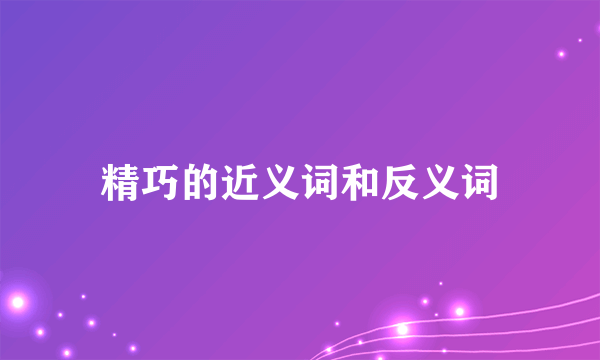 精巧的近义词和反义词