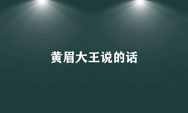 黄眉大王说的话