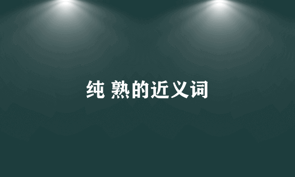 纯 熟的近义词
