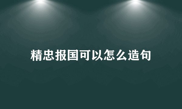 精忠报国可以怎么造句