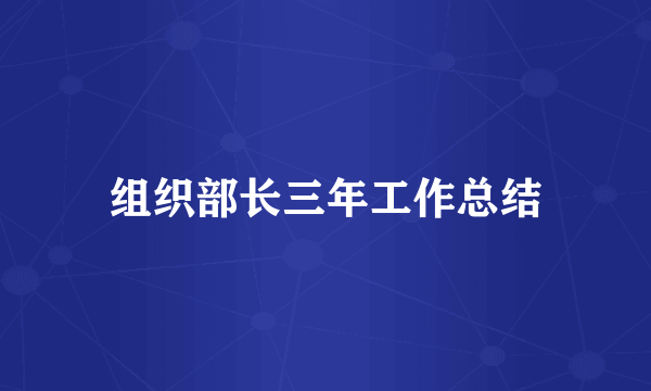 组织部长三年工作总结