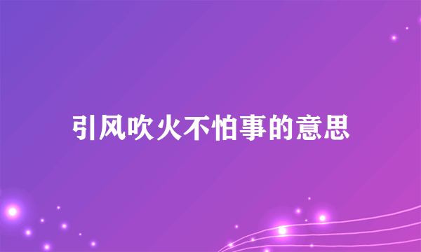 引风吹火不怕事的意思