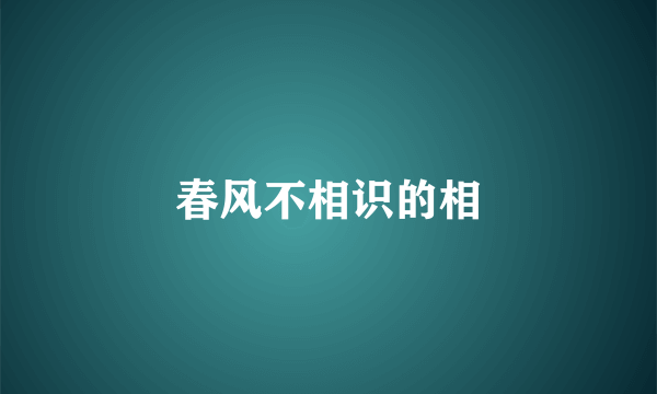 春风不相识的相