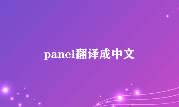 panel翻译成中文