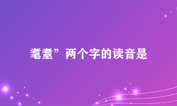 耄耋”两个字的读音是