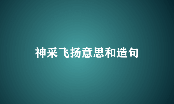 神采飞扬意思和造句