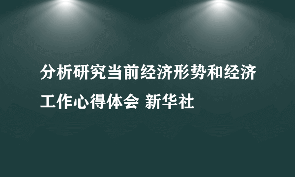 分析研究当前经济形势和经济工作心得体会 新华社