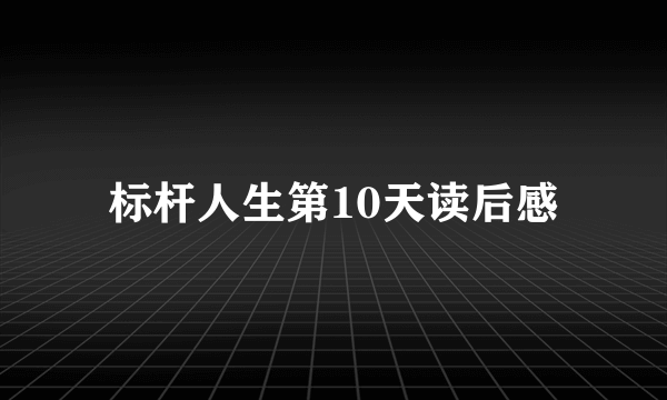 标杆人生第10天读后感