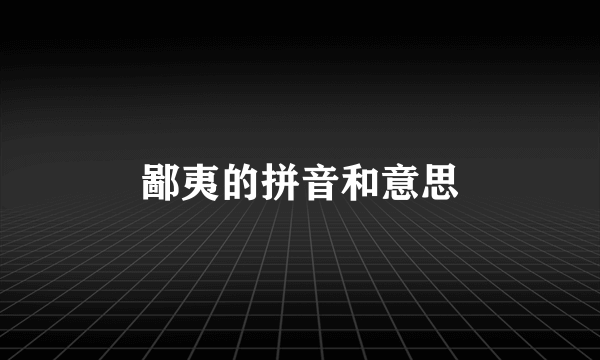 鄙夷的拼音和意思