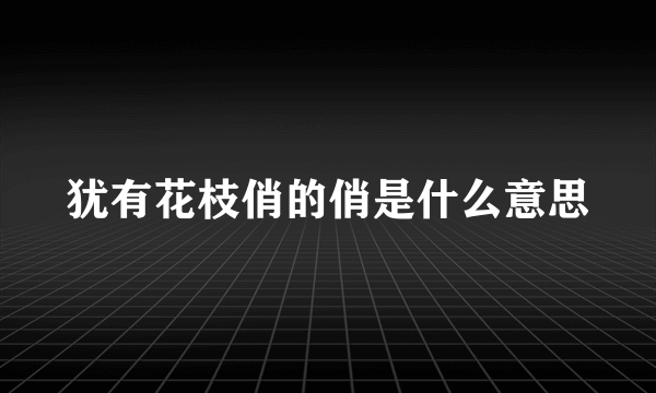 犹有花枝俏的俏是什么意思