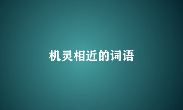 机灵相近的词语