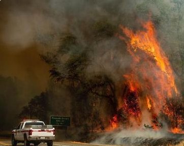 美国加州野火蔓延造成影响严重吗？