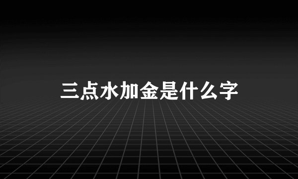三点水加金是什么字