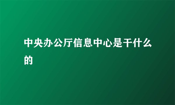中央办公厅信息中心是干什么的