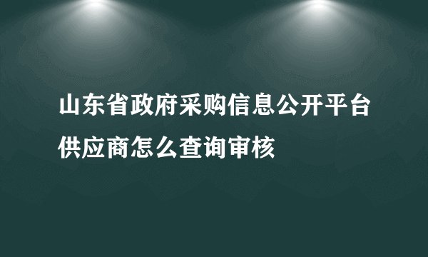 山东省政府采购信息公开平台供应商怎么查询审核
