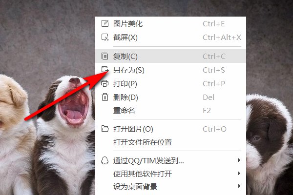jpg格式是什么样的?