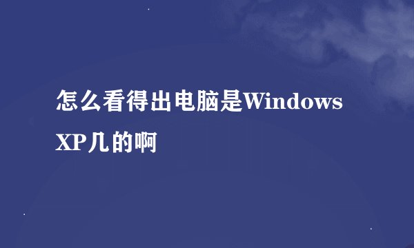 怎么看得出电脑是Windows XP几的啊