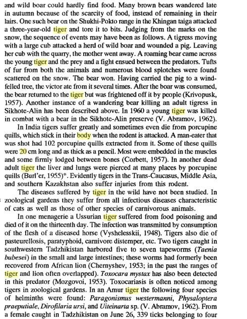 棕熊PK老虎，谁更厉害？