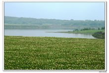 成都公园排名，成都公园哪个好玩