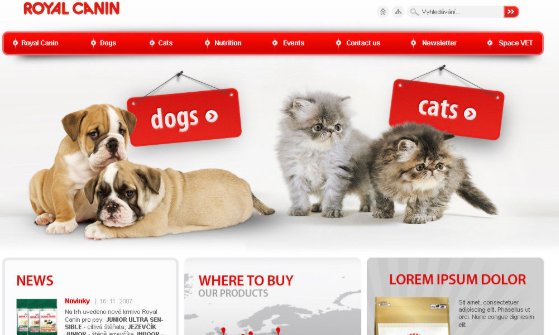 什么事网页的一级页面，二级页面，三级页面 详细点的