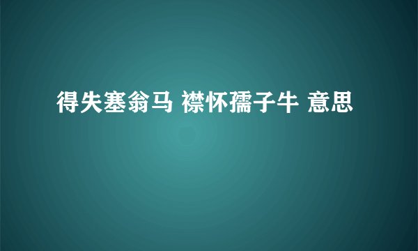 得失塞翁马 襟怀孺子牛 意思