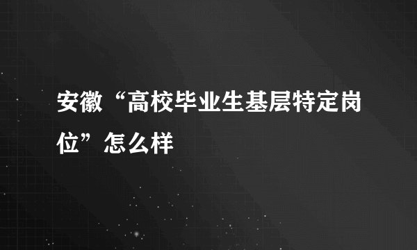 安徽“高校毕业生基层特定岗位”怎么样
